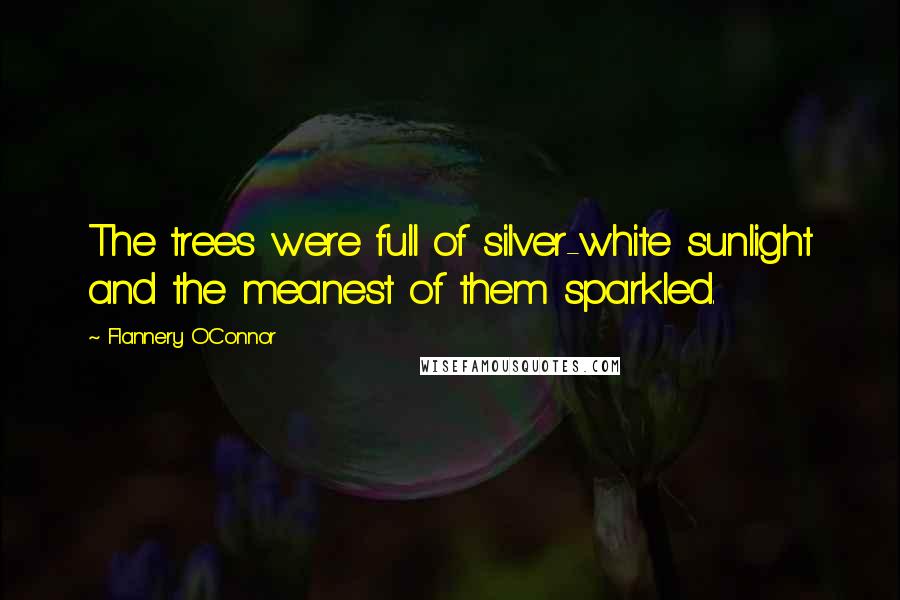 Flannery O'Connor Quotes: The trees were full of silver-white sunlight and the meanest of them sparkled.