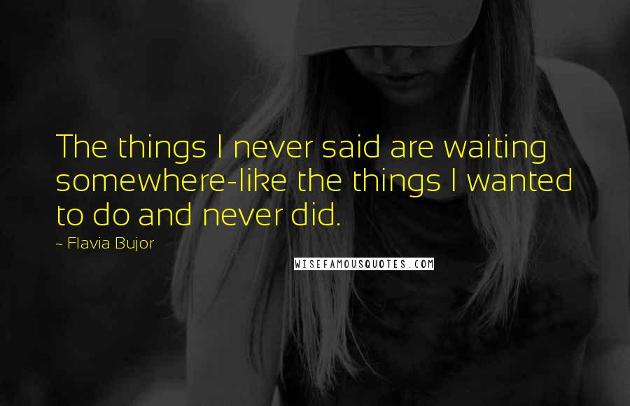 Flavia Bujor Quotes: The things I never said are waiting somewhere-like the things I wanted to do and never did.