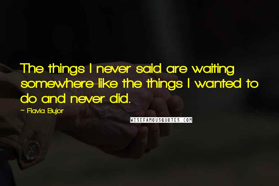 Flavia Bujor Quotes: The things I never said are waiting somewhere-like the things I wanted to do and never did.