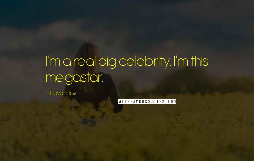 Flavor Flav Quotes: I'm a real big celebrity. I'm this megastar.