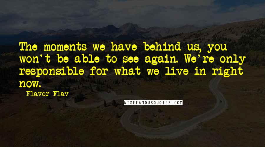 Flavor Flav Quotes: The moments we have behind us, you won't be able to see again. We're only responsible for what we live in right now.