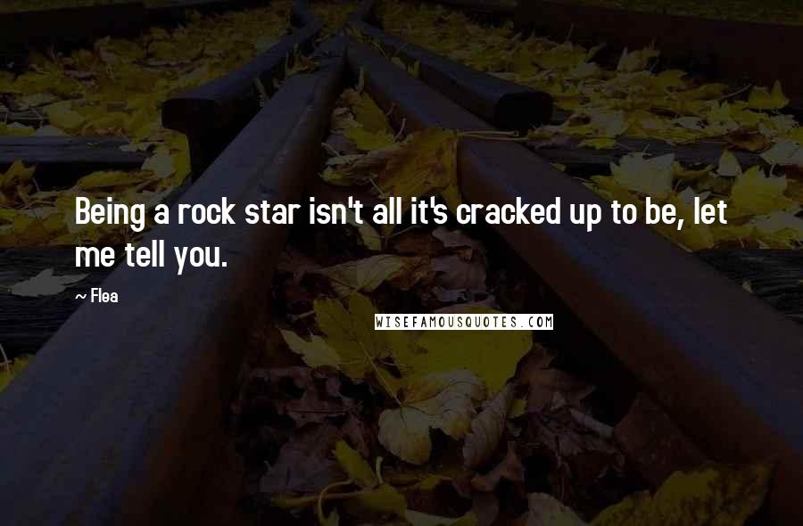 Flea Quotes: Being a rock star isn't all it's cracked up to be, let me tell you.