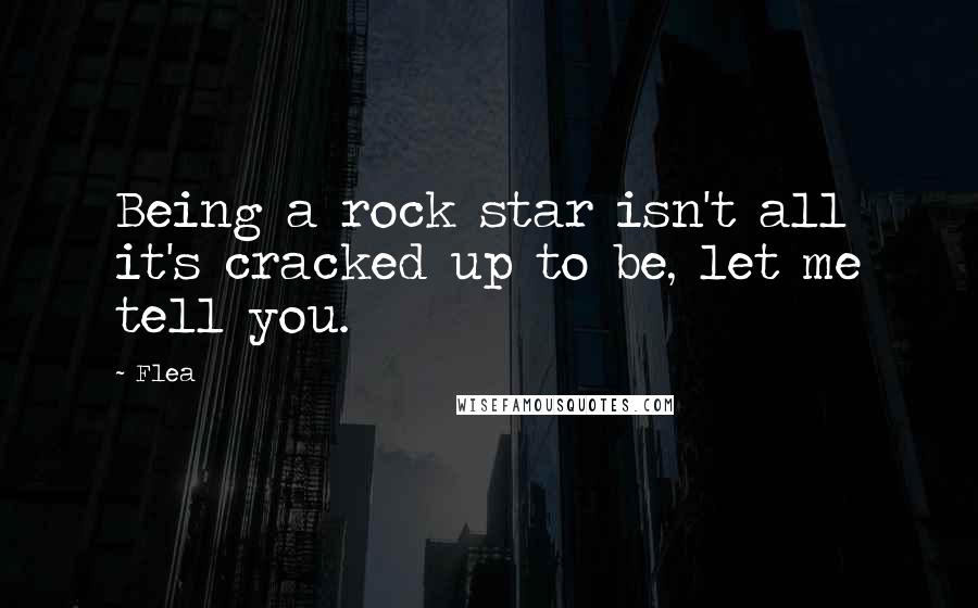 Flea Quotes: Being a rock star isn't all it's cracked up to be, let me tell you.