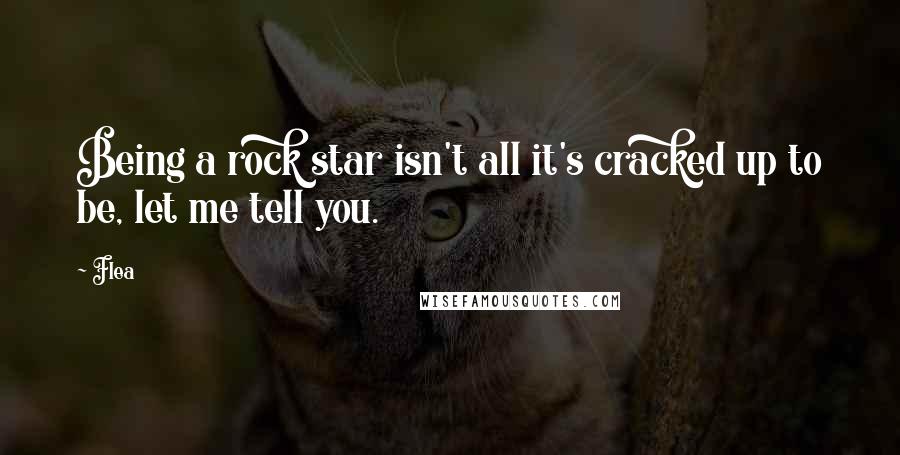 Flea Quotes: Being a rock star isn't all it's cracked up to be, let me tell you.