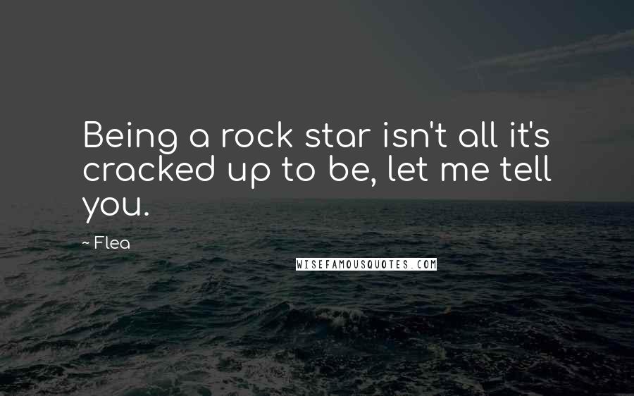 Flea Quotes: Being a rock star isn't all it's cracked up to be, let me tell you.