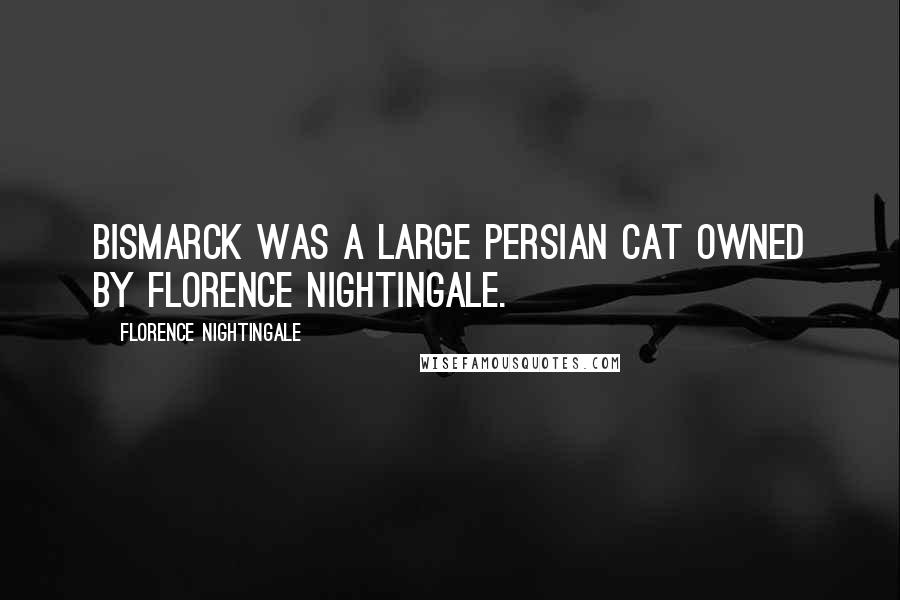 Florence Nightingale Quotes: Bismarck was a large persian cat owned by Florence Nightingale.