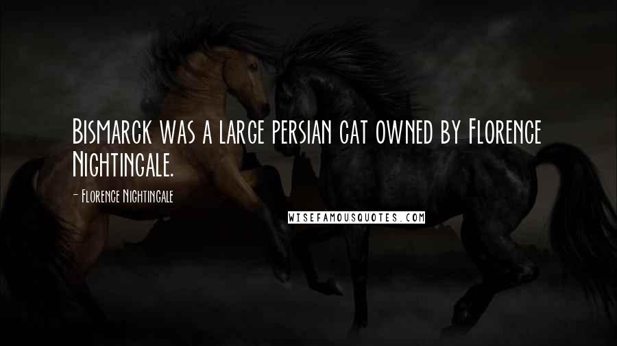 Florence Nightingale Quotes: Bismarck was a large persian cat owned by Florence Nightingale.