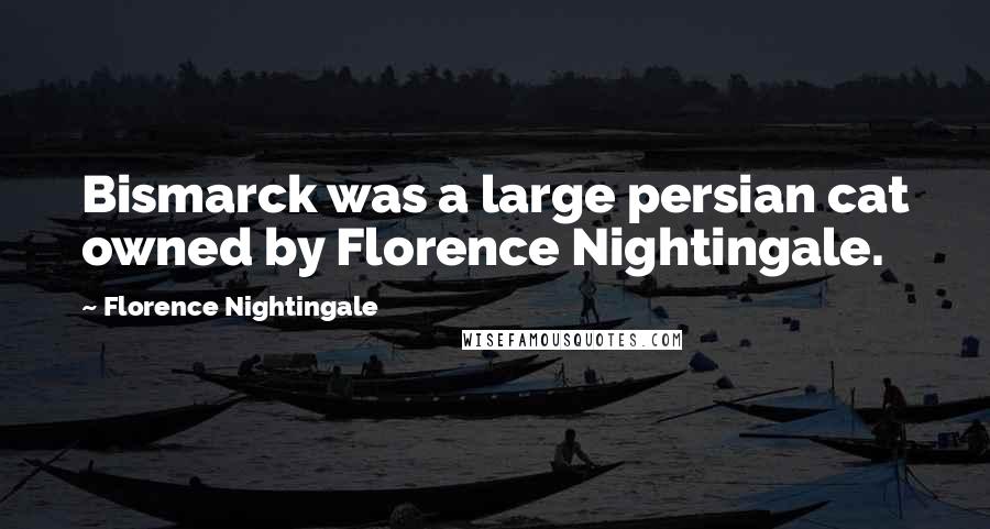 Florence Nightingale Quotes: Bismarck was a large persian cat owned by Florence Nightingale.