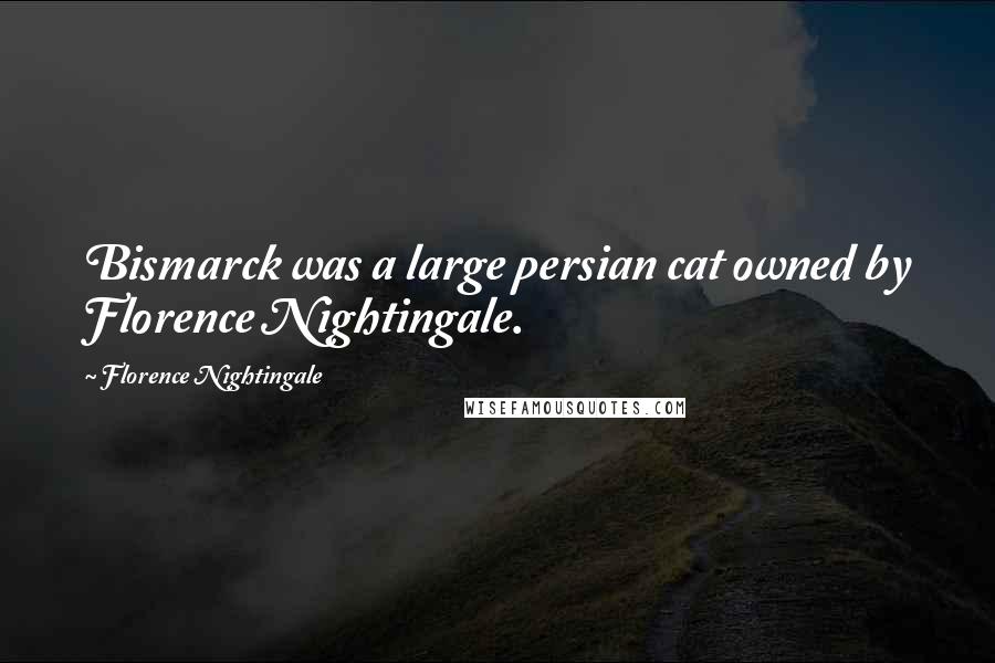 Florence Nightingale Quotes: Bismarck was a large persian cat owned by Florence Nightingale.