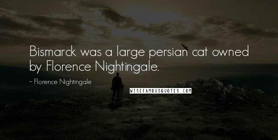 Florence Nightingale Quotes: Bismarck was a large persian cat owned by Florence Nightingale.