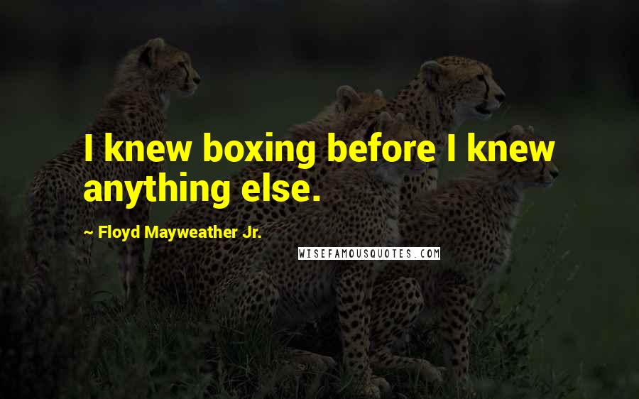 Floyd Mayweather Jr. Quotes: I knew boxing before I knew anything else.