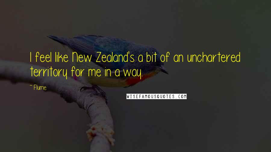 Flume Quotes: I feel like New Zealand's a bit of an unchartered territory for me in a way.