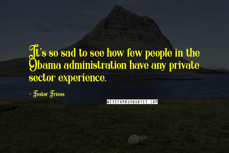 Foster Friess Quotes: It's so sad to see how few people in the Obama administration have any private sector experience.