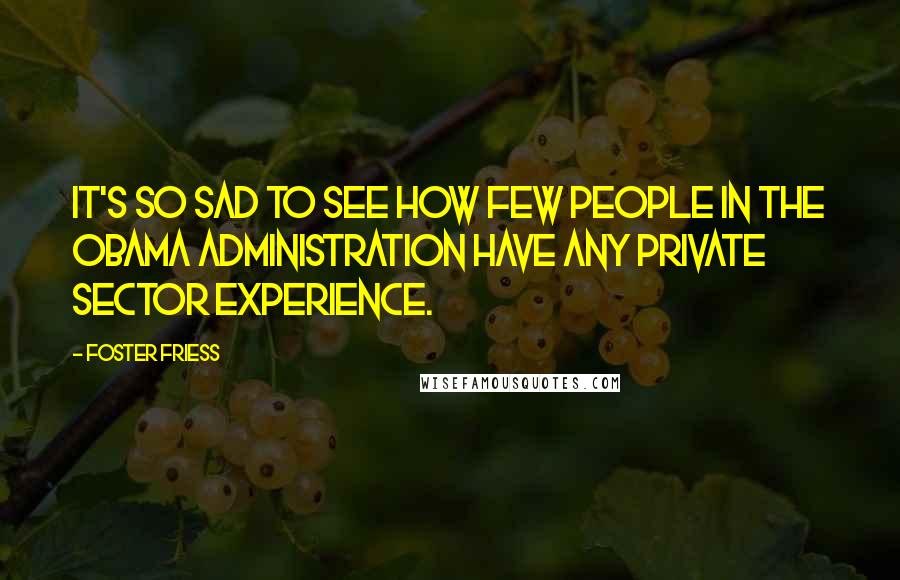 Foster Friess Quotes: It's so sad to see how few people in the Obama administration have any private sector experience.