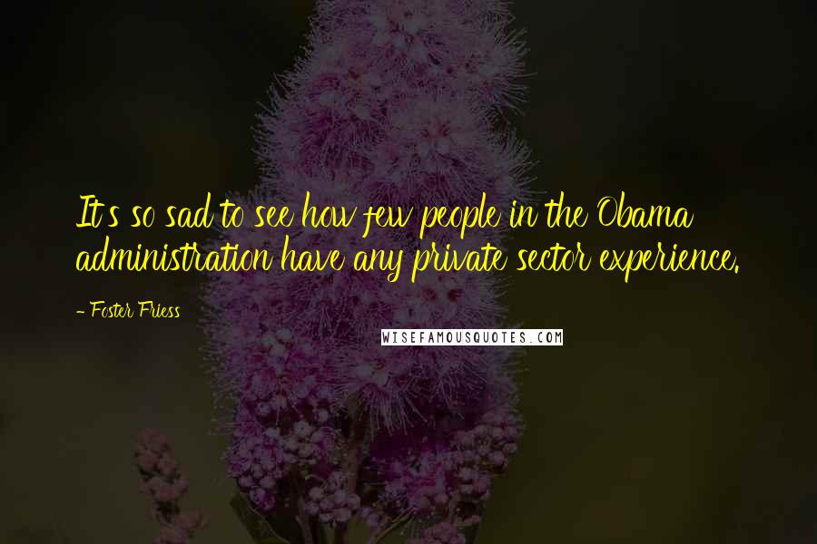 Foster Friess Quotes: It's so sad to see how few people in the Obama administration have any private sector experience.