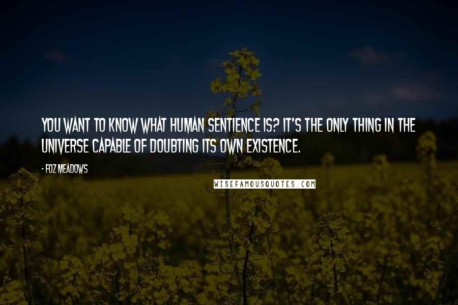 Foz Meadows Quotes: You want to know what human sentience is? It's the only thing in the universe capable of doubting its own existence.
