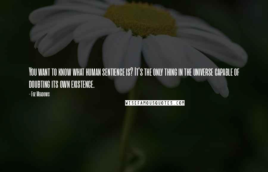 Foz Meadows Quotes: You want to know what human sentience is? It's the only thing in the universe capable of doubting its own existence.