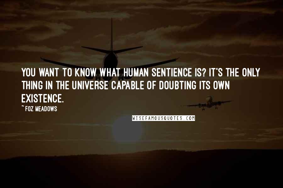 Foz Meadows Quotes: You want to know what human sentience is? It's the only thing in the universe capable of doubting its own existence.