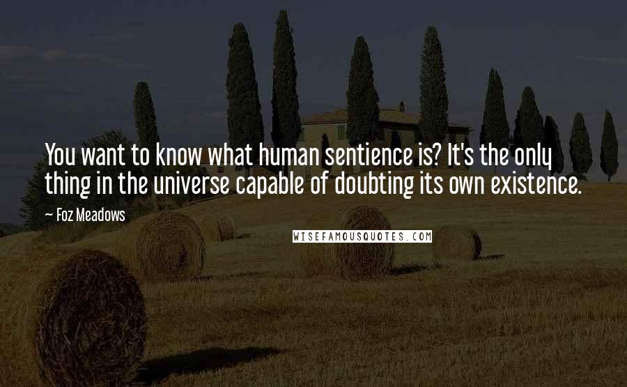 Foz Meadows Quotes: You want to know what human sentience is? It's the only thing in the universe capable of doubting its own existence.