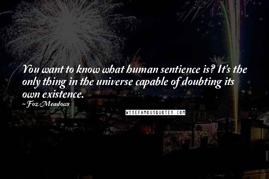 Foz Meadows Quotes: You want to know what human sentience is? It's the only thing in the universe capable of doubting its own existence.