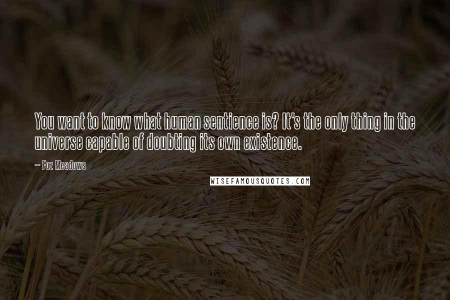 Foz Meadows Quotes: You want to know what human sentience is? It's the only thing in the universe capable of doubting its own existence.