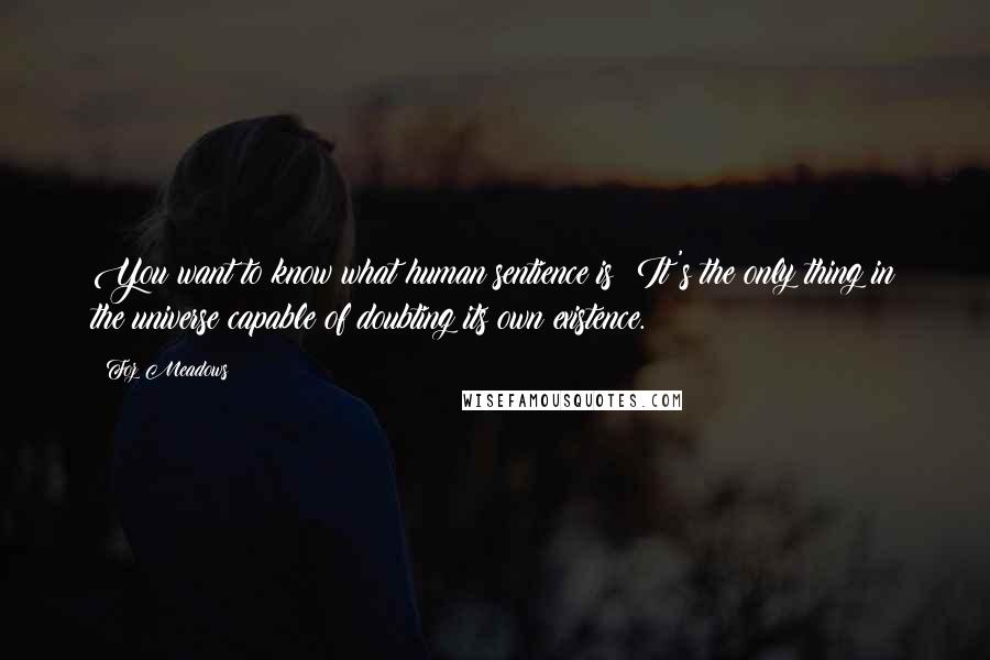 Foz Meadows Quotes: You want to know what human sentience is? It's the only thing in the universe capable of doubting its own existence.