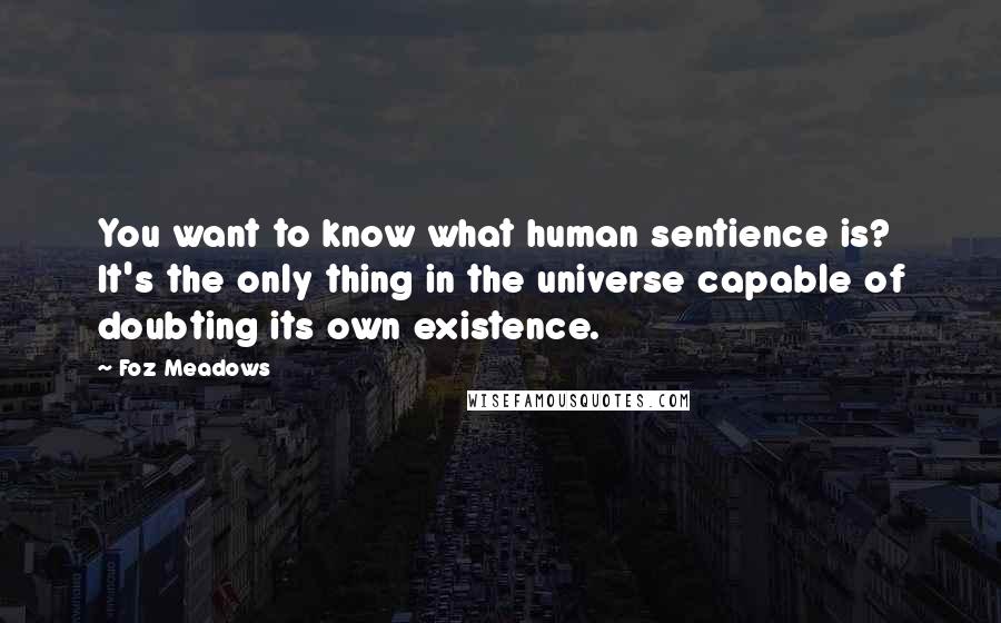 Foz Meadows Quotes: You want to know what human sentience is? It's the only thing in the universe capable of doubting its own existence.