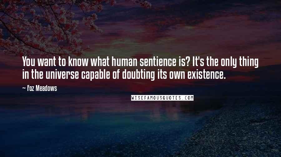 Foz Meadows Quotes: You want to know what human sentience is? It's the only thing in the universe capable of doubting its own existence.