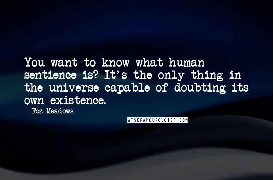 Foz Meadows Quotes: You want to know what human sentience is? It's the only thing in the universe capable of doubting its own existence.
