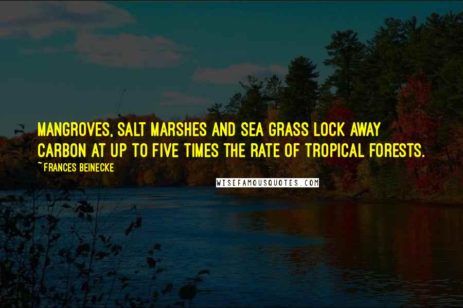 Frances Beinecke Quotes: Mangroves, salt marshes and sea grass lock away carbon at up to five times the rate of tropical forests.