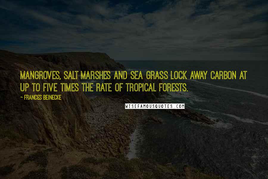 Frances Beinecke Quotes: Mangroves, salt marshes and sea grass lock away carbon at up to five times the rate of tropical forests.