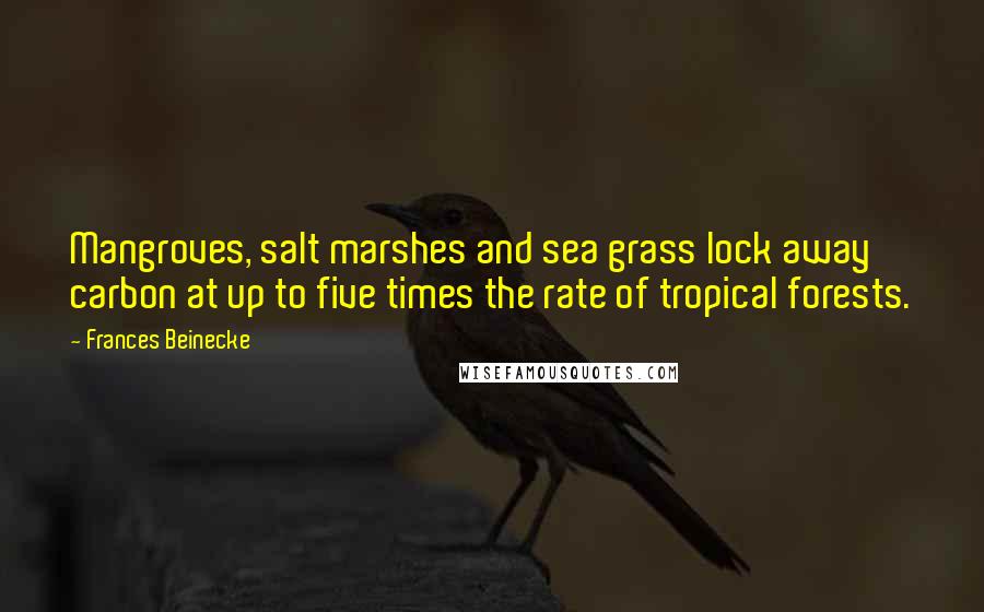 Frances Beinecke Quotes: Mangroves, salt marshes and sea grass lock away carbon at up to five times the rate of tropical forests.