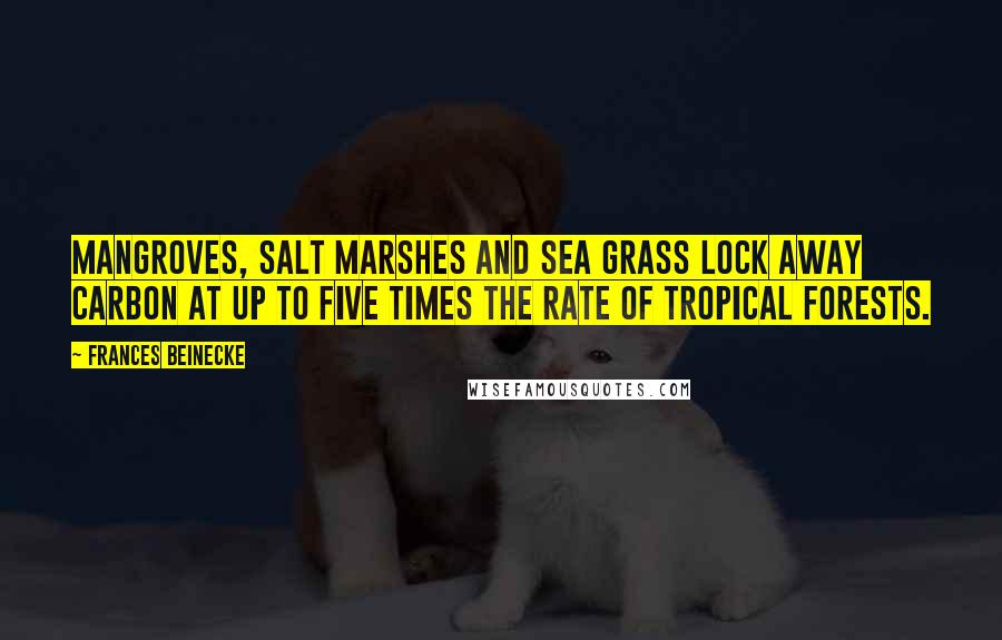 Frances Beinecke Quotes: Mangroves, salt marshes and sea grass lock away carbon at up to five times the rate of tropical forests.