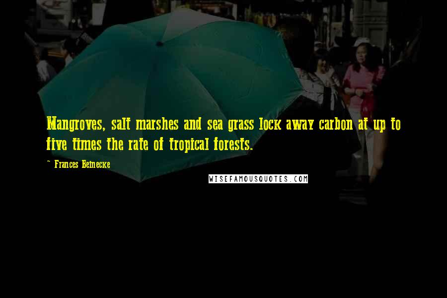 Frances Beinecke Quotes: Mangroves, salt marshes and sea grass lock away carbon at up to five times the rate of tropical forests.