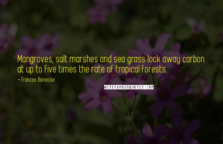 Frances Beinecke Quotes: Mangroves, salt marshes and sea grass lock away carbon at up to five times the rate of tropical forests.