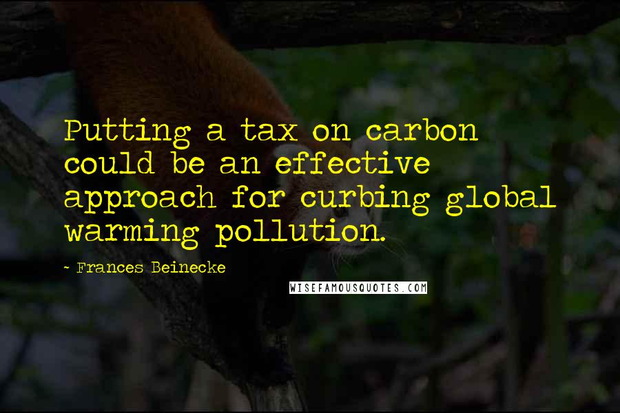 Frances Beinecke Quotes: Putting a tax on carbon could be an effective approach for curbing global warming pollution.