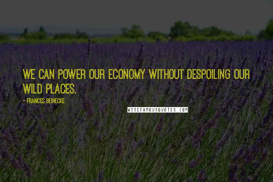 Frances Beinecke Quotes: We can power our economy without despoiling our wild places.