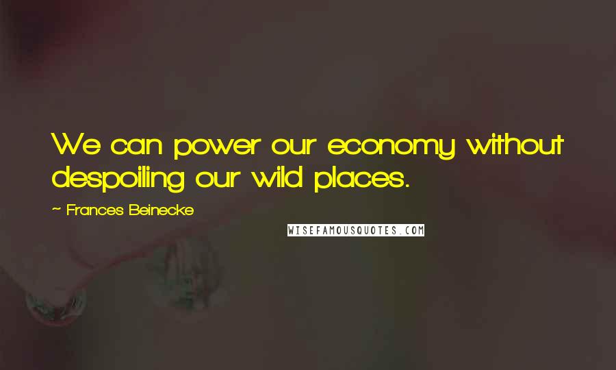 Frances Beinecke Quotes: We can power our economy without despoiling our wild places.