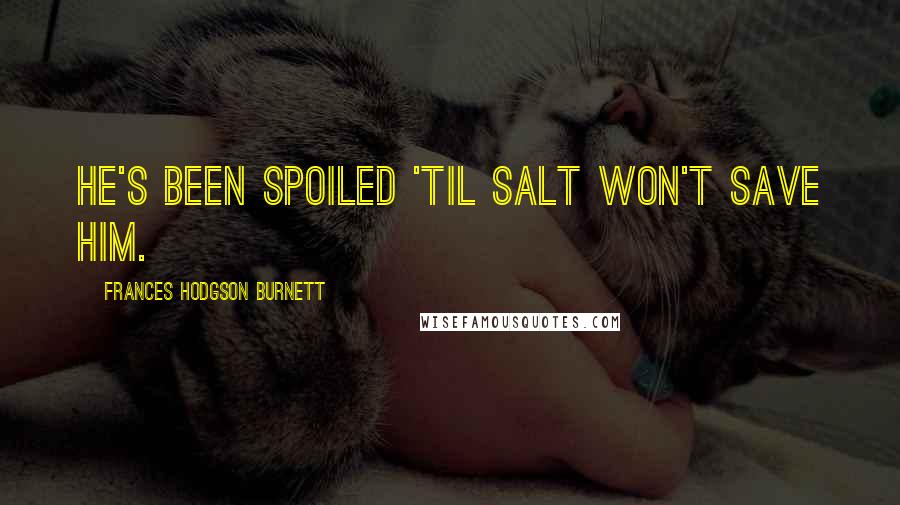 Frances Hodgson Burnett Quotes: He's been spoiled 'til salt won't save him.