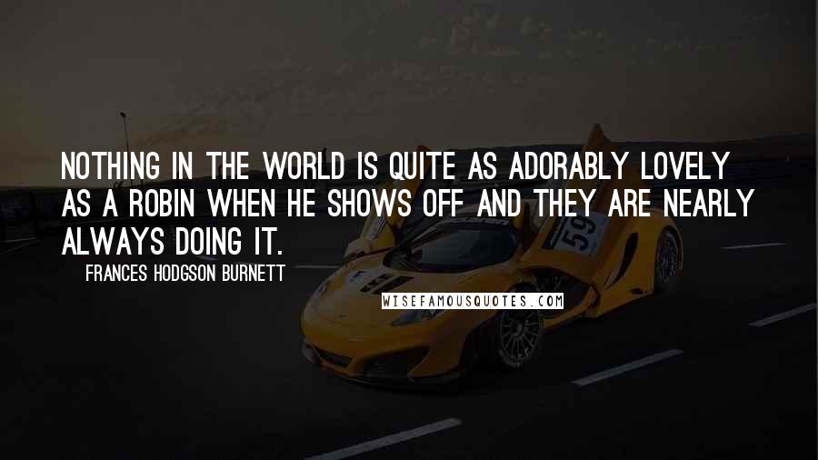 Frances Hodgson Burnett Quotes: Nothing in the world is quite as adorably lovely as a robin when he shows off and they are nearly always doing it.