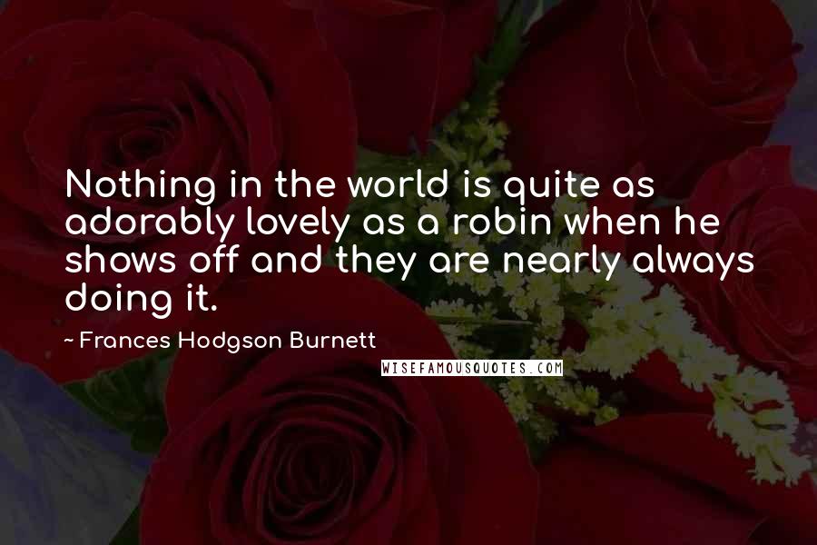 Frances Hodgson Burnett Quotes: Nothing in the world is quite as adorably lovely as a robin when he shows off and they are nearly always doing it.