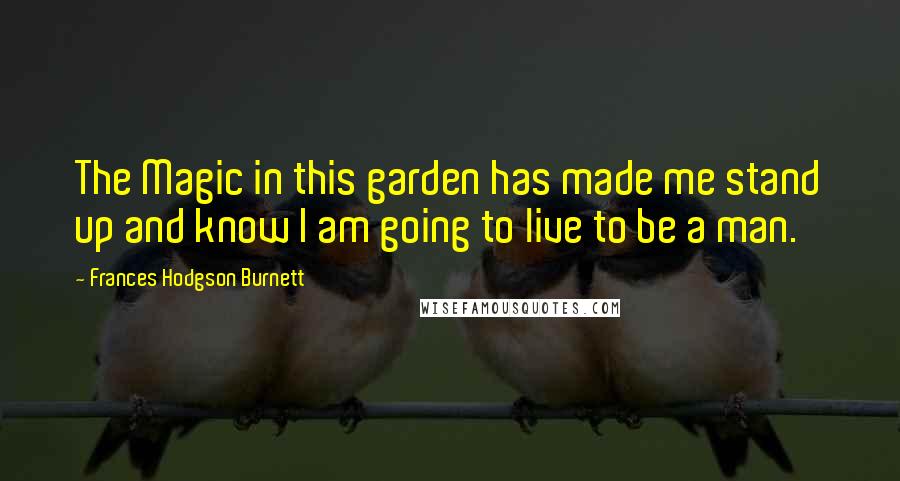 Frances Hodgson Burnett Quotes: The Magic in this garden has made me stand up and know I am going to live to be a man.