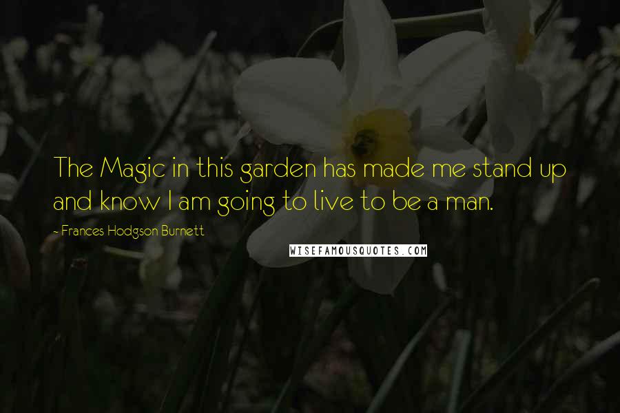 Frances Hodgson Burnett Quotes: The Magic in this garden has made me stand up and know I am going to live to be a man.