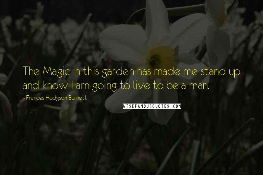 Frances Hodgson Burnett Quotes: The Magic in this garden has made me stand up and know I am going to live to be a man.