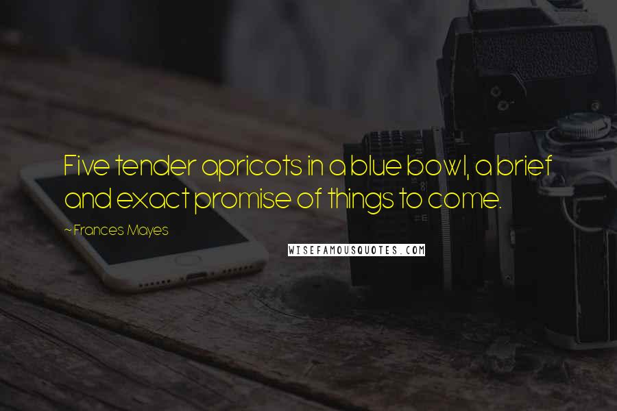 Frances Mayes Quotes: Five tender apricots in a blue bowl, a brief and exact promise of things to come.