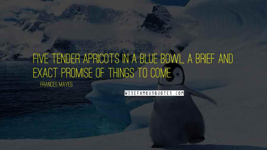 Frances Mayes Quotes: Five tender apricots in a blue bowl, a brief and exact promise of things to come.