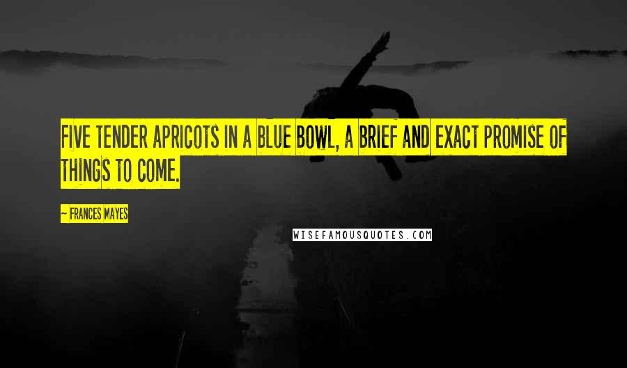 Frances Mayes Quotes: Five tender apricots in a blue bowl, a brief and exact promise of things to come.