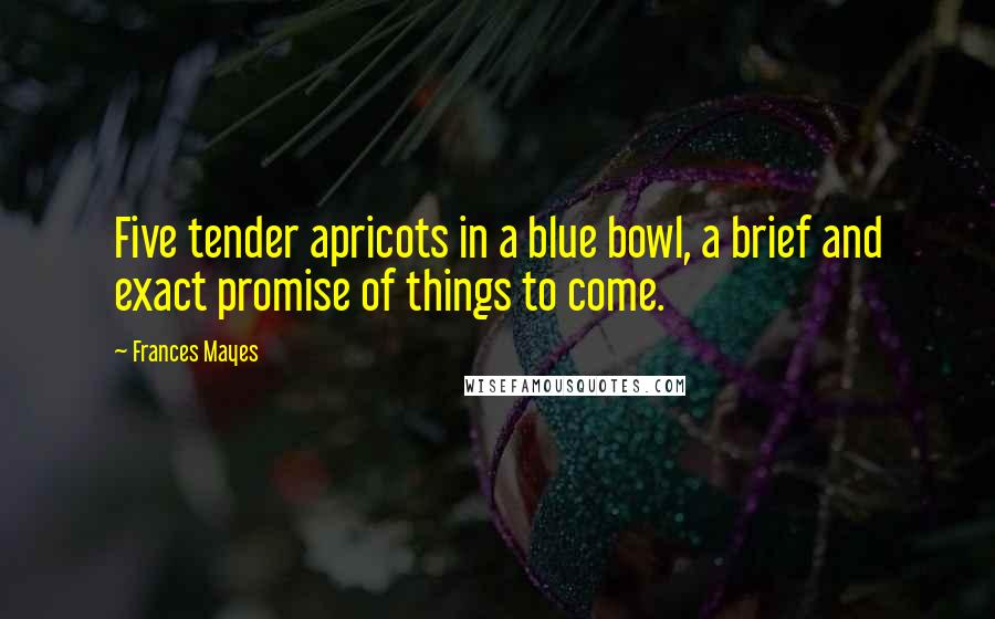 Frances Mayes Quotes: Five tender apricots in a blue bowl, a brief and exact promise of things to come.