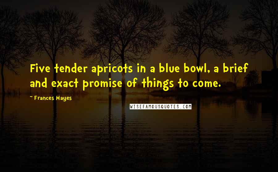 Frances Mayes Quotes: Five tender apricots in a blue bowl, a brief and exact promise of things to come.