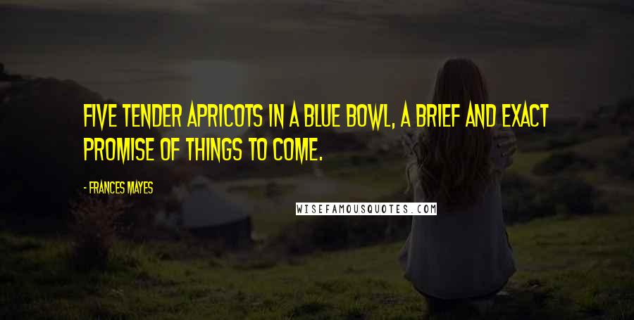 Frances Mayes Quotes: Five tender apricots in a blue bowl, a brief and exact promise of things to come.